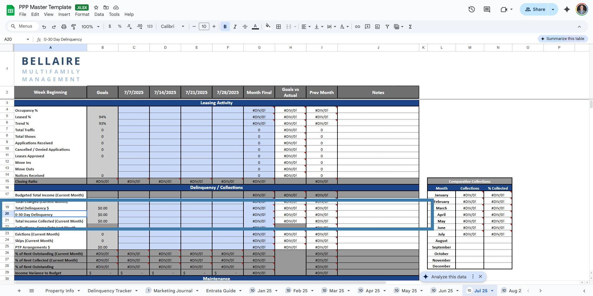 PPP entry fields